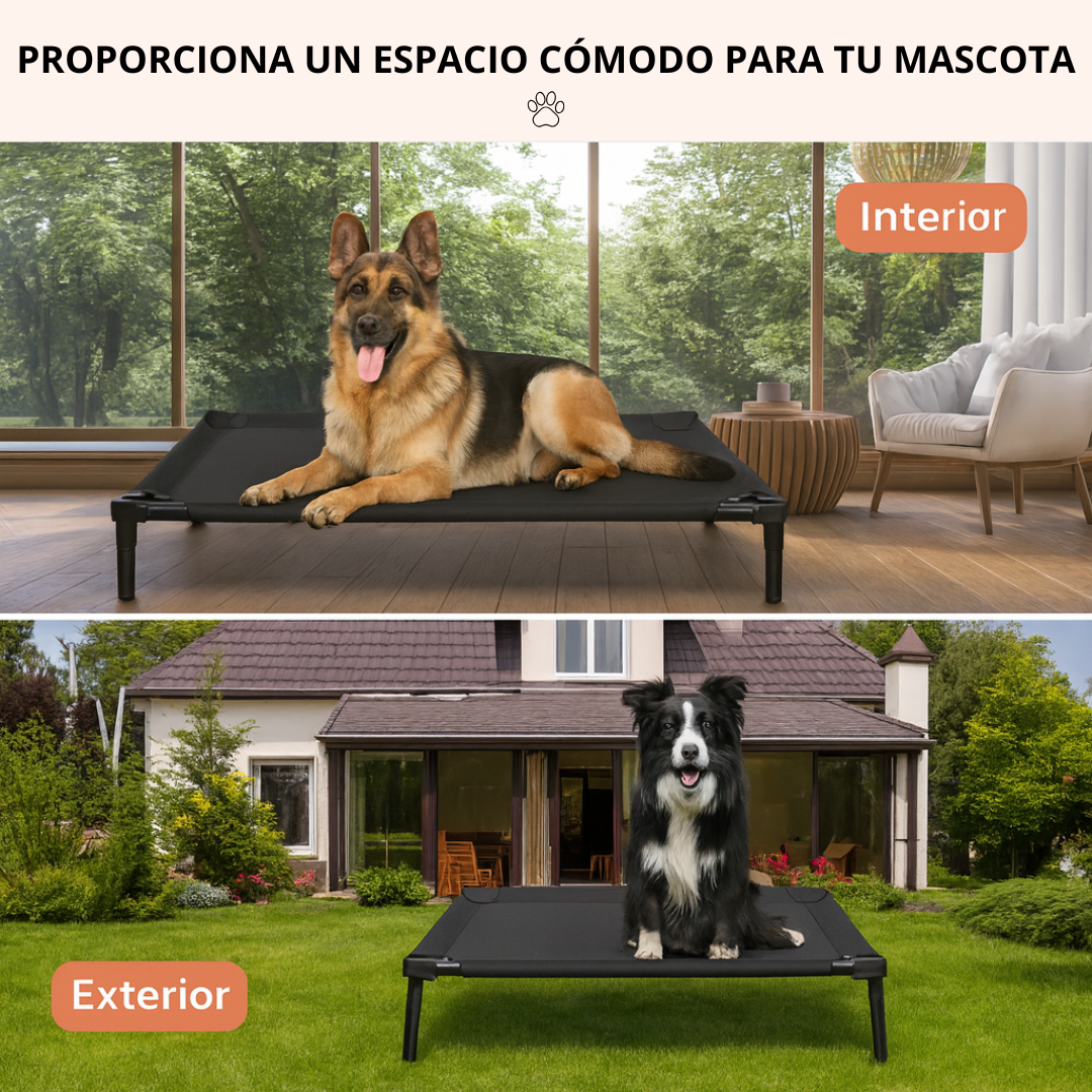 Snoutti™ • Fresca, elevada y fácil de limpiar