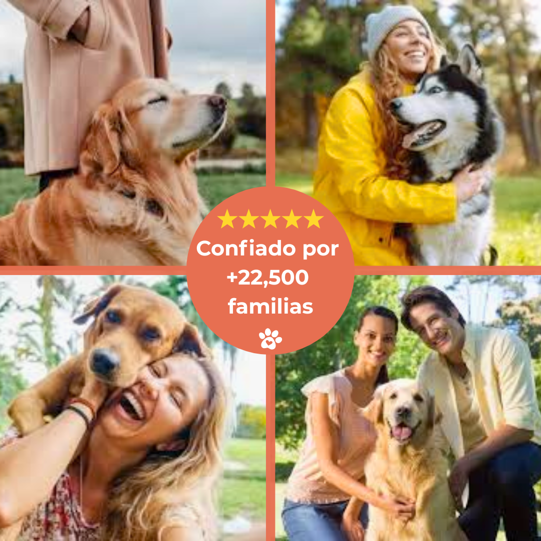 Snoutti™ • Fresca, elevada y fácil de limpiar