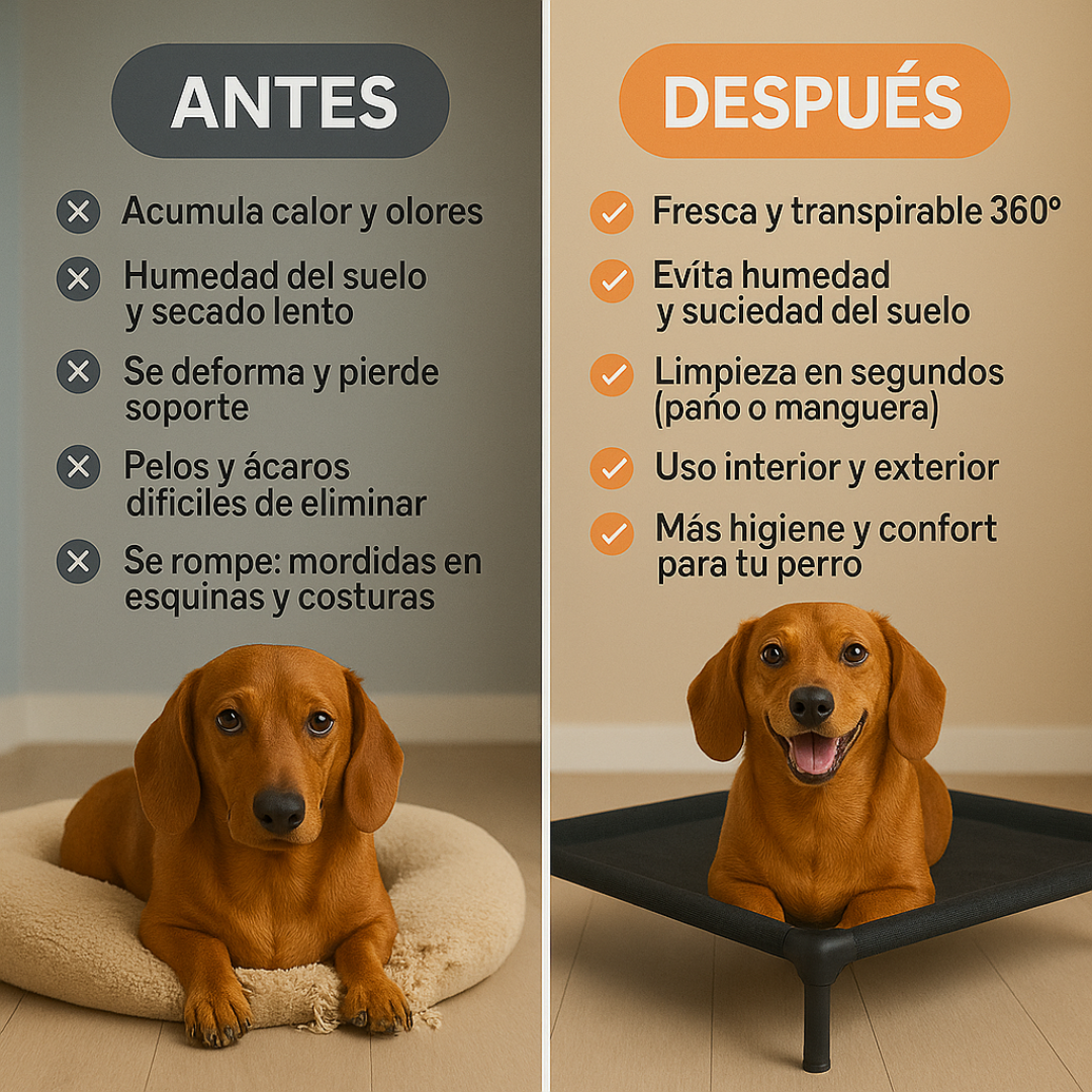 Snoutti™ • Fresca, elevada y fácil de limpiar